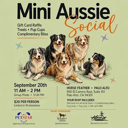 Mini Aussie Sip & Social @ Horsefeather Palo Alto
