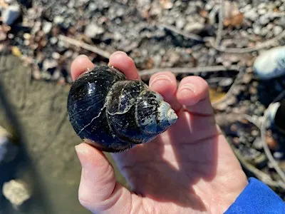 Hellyer County Park BioBlitz