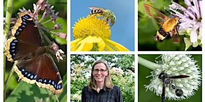 Native Havens: Building Pollinator Habitats