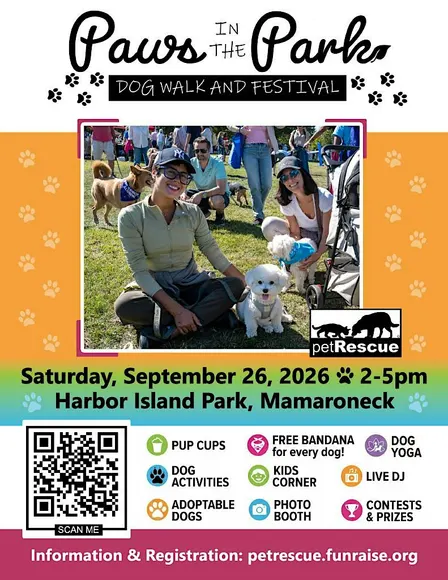 Paws in the Park: Dog Walk & Festival