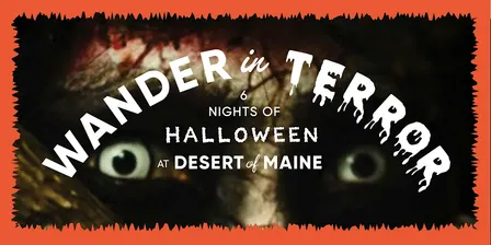 Wander in Terror