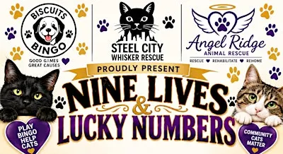 Nine Lives & Lucky Numbers