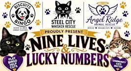 Nine Lives & Lucky Numbers