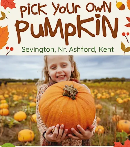 Pick Your Own Pumpkin, Nr Ashford, Kent