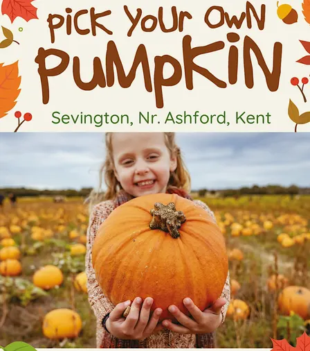 Pick Your Own Pumpkin,  Nr Ashford, Kent
