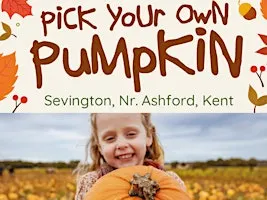 Pick Your Own Pumpkin,  Nr Ashford, Kent