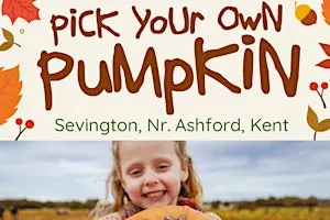 Pick Your Own Pumpkin,  Nr Ashford, Kent