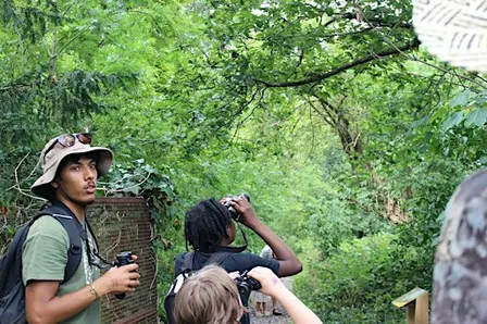 Woodland Bat Walk and Night Safari