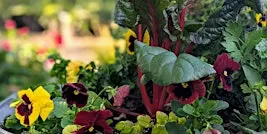 Autumn Annuals Container Gardens – Night Owl Edition