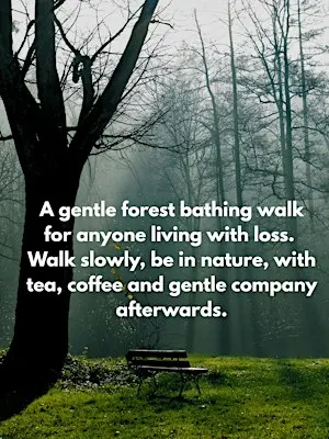 Loss Walk at South Norwood Country Park Forest Bathing
