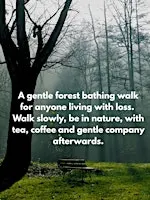Loss Walk at South Norwood Country Park Forest Bathing
