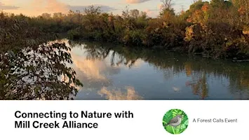 Connecting to Nature with Mill Creek Alliance:  A Forest Calls Event
