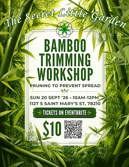 Bamboo Trimming Workshop: Pruning to Prevent Spread