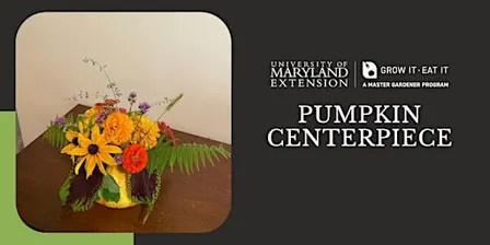GIEI: Pumpkin Centerpiece Class