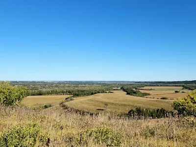 Fall on the Konza Prairie