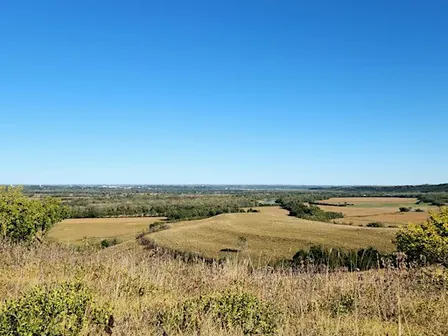 Fall on the Konza Prairie