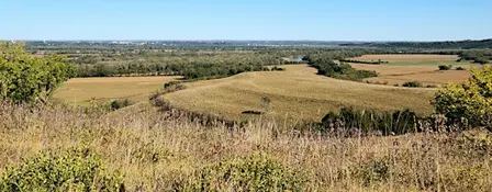 Fall on the Konza Prairie