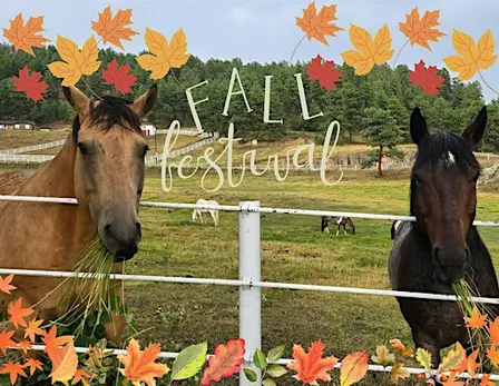 Fall Fundraiser Festival