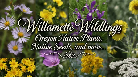 Native Plant and Seed Sale - Willamette Wildlings
