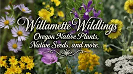 Native Plant and Seed Sale - Willamette Wildlings