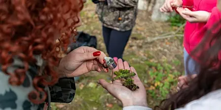 Forest Bathing with Breathwork, Meditation and Cacao at Minsteracres