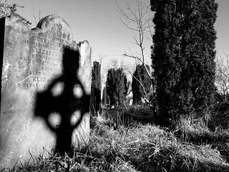 Tombstones, Robbery & Rats! A Halloween Tour of Friar's Bush