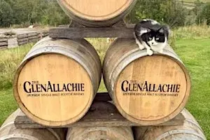 An Evening with GlenAllachie: Rare Whiskies & Speyside Stories
