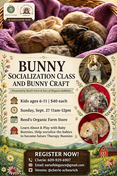 Baby Bunny Socialization Class