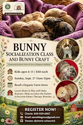 Baby Bunny Socialization Class