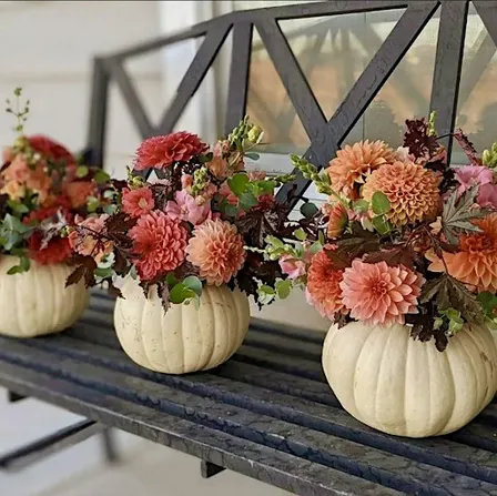 Petals & Pumpkins