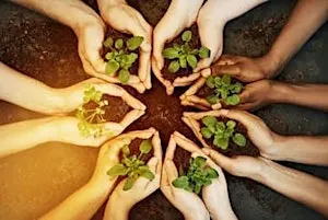 Learn how to save your own seeds, and locally adapt crops. + Seed Giveaway