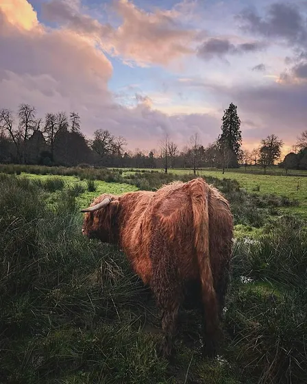 A Morning on the farm
