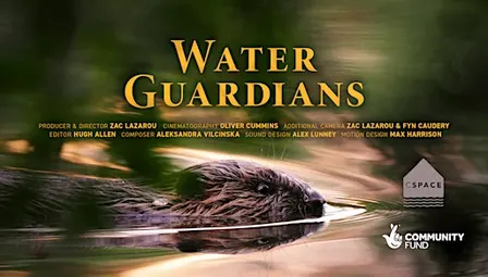 Free Water Guardians screening at C-Space, Newquay