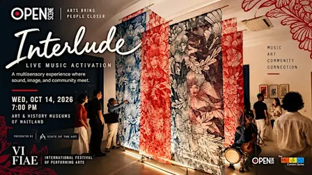 Interlude: Live Music Activation | VI FIAE