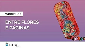 Aprende a reciclar papel e com biomateriais, a fazer novos objectos.