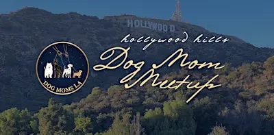 Dog Moms LA: Hollywood Hills Scenic Community Walk & Park Social