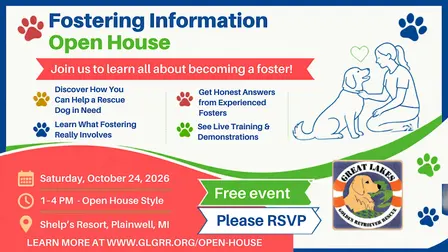 Foster a Rescue Dog: GLGRR Foster Open House