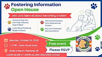 Foster a Rescue Dog: GLGRR Foster Open House