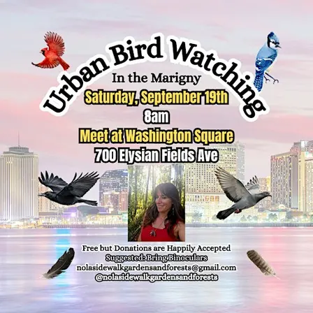 Urban Bird Watching in the Marigny-9/19