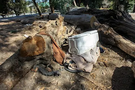 Mid-Week Cleanup at West Virginia Street on Guadalupe River