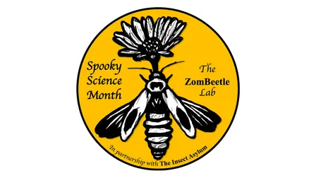 Zombie Bugs Informational Talk and Pinning Session with Neuroparasitologist