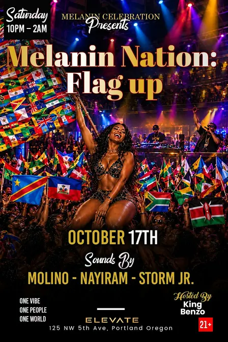 MELANIN NATION : FLAG UP