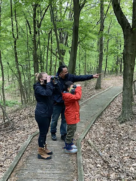 Nature Explorers: All About Owls