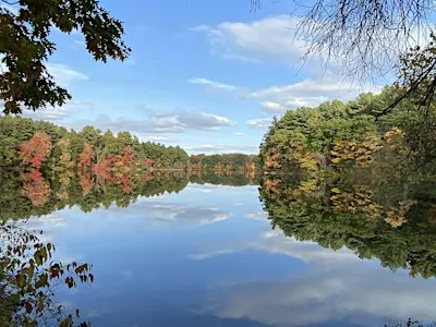 October walk along the Sudbury Reservoir Trail