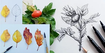 Autumnal Nature Illustration Workshop