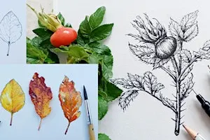 Autumnal Nature Illustration Workshop
