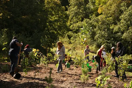 Ecological Restoration Planting with Nikibii Dawadinna Giigwag