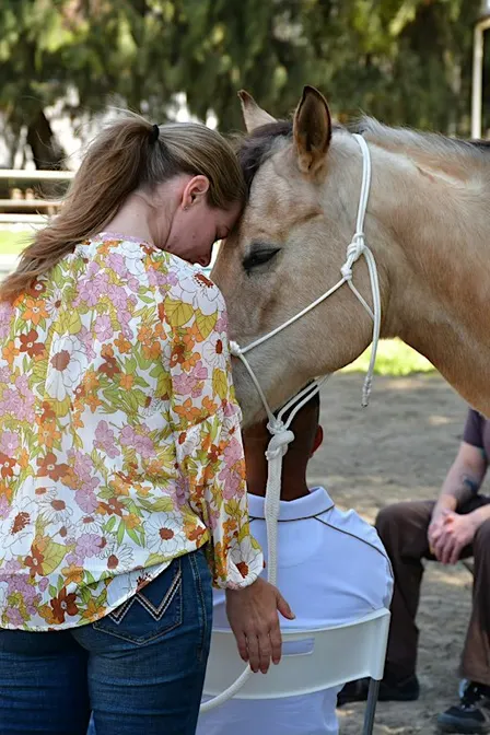 Equine Reiki-Sound Healing