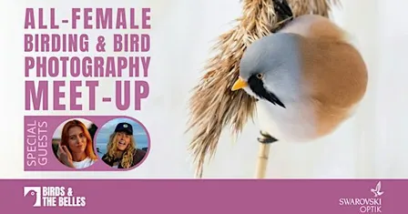 BATB Birthday Birding & Photography Meet-Up
