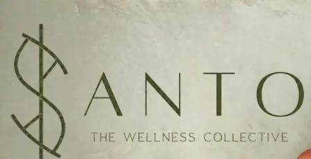 Waterlooville Business Networking at Santo Wellness